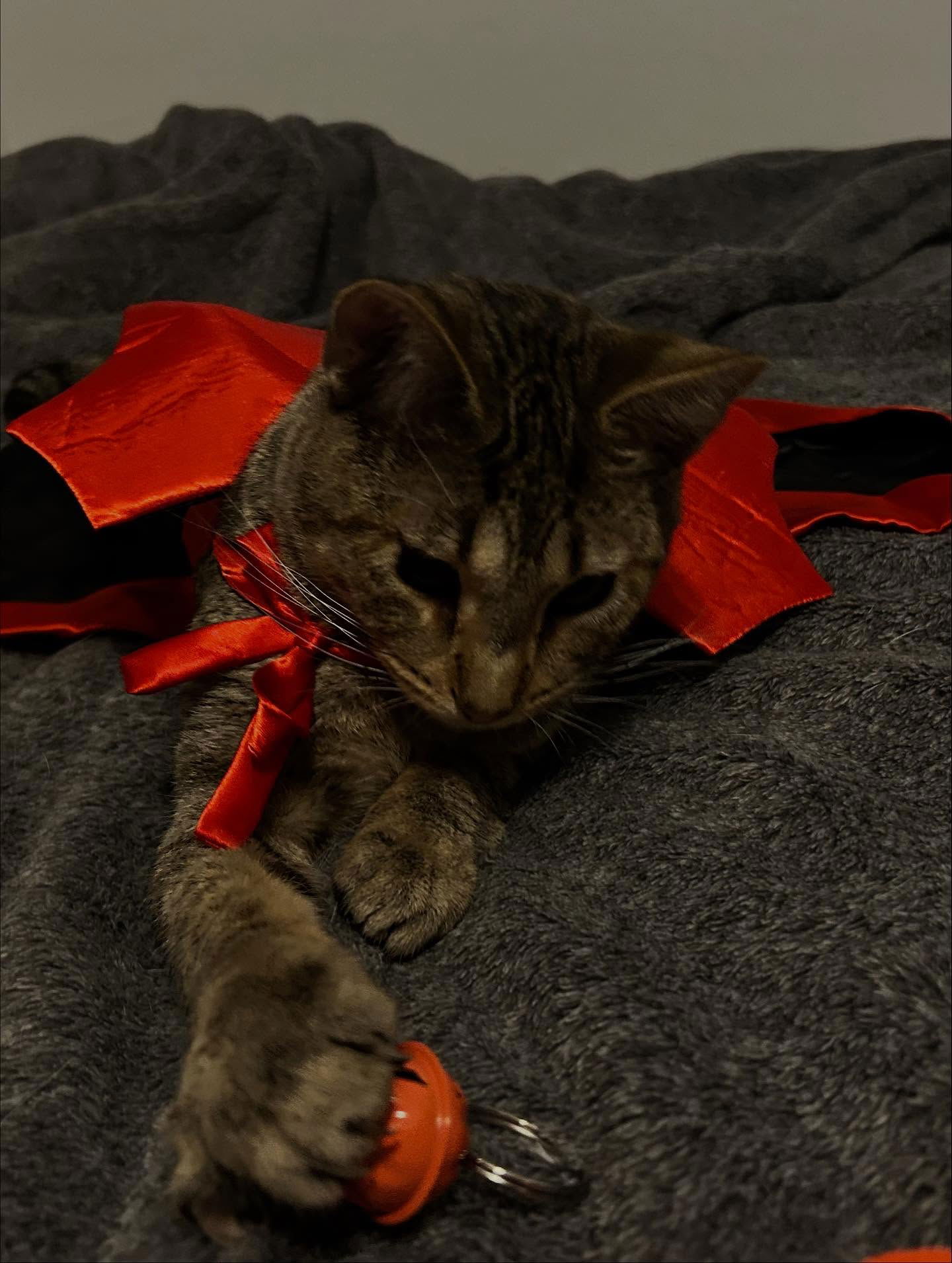 _animechika_ instagram image archive image