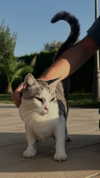 annabottoo Altpins Profile Picture