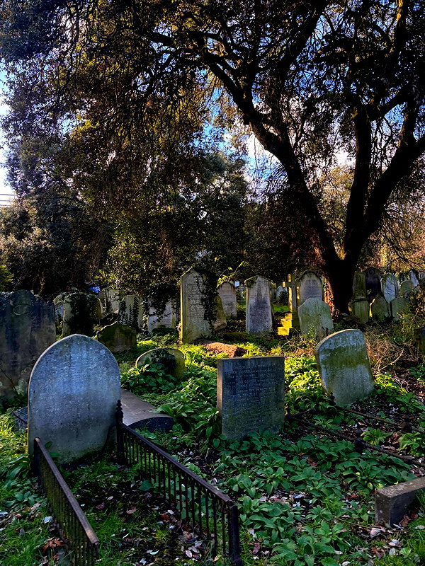 mollieruck instagram image archive image