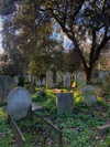 mollieruck Altpins Profile Picture