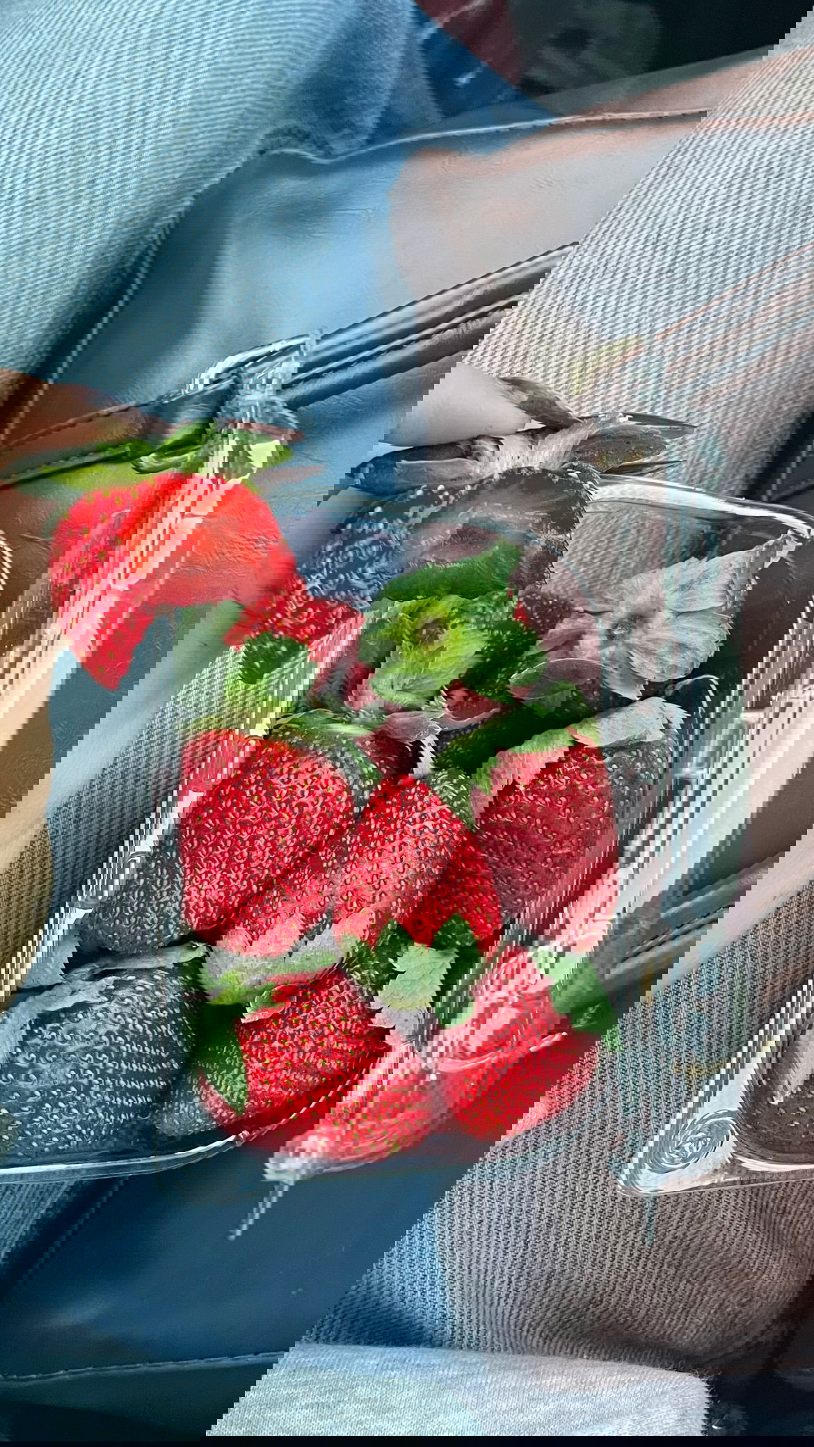 efrat_elmalich instagram image archive image