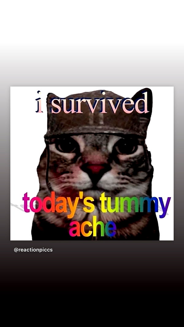 moodmaxi instagram image archive image