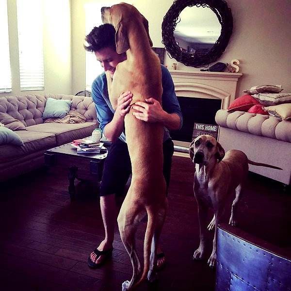 sashapieterse instagram image archive image