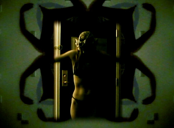 bugz4brainz instagram image archive image