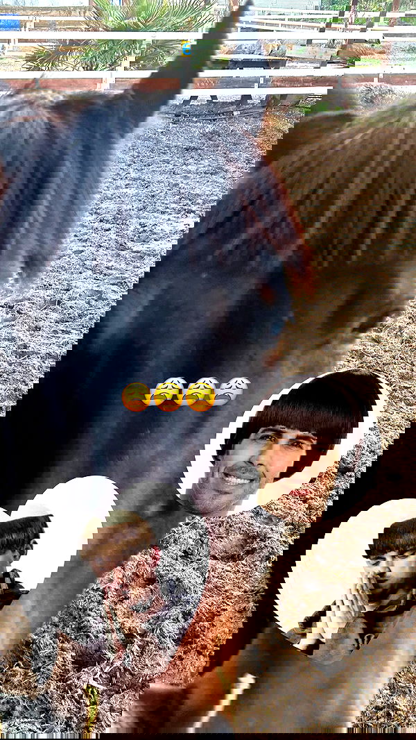 _wizardmidget_ _wizardmidget_ archive image