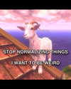 ellaexplicit_ Altpins Profile Picture