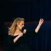 adele Altpins Profile Picture