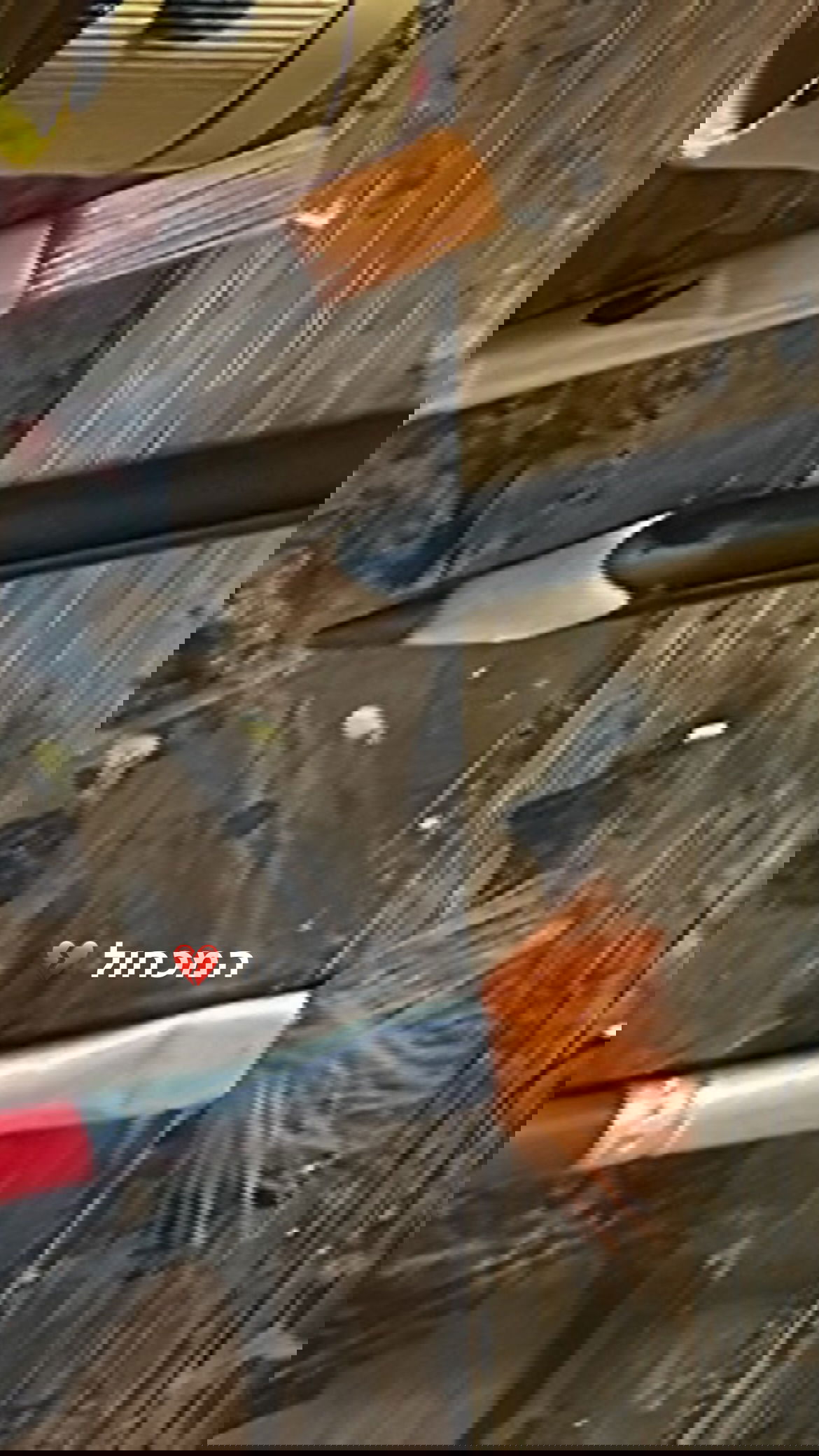 efrat_elmalich instagram image archive image