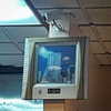 bugz4brainz Altpins Profile Picture