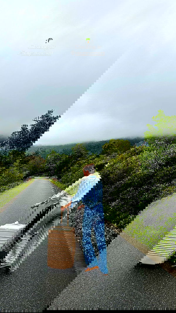 taylor.creeden taylor.creeden archive image