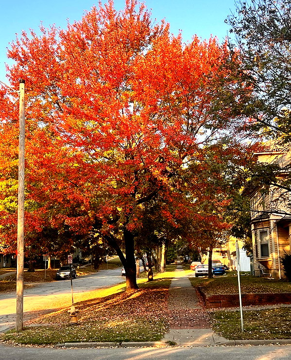 tatumchurch instagram image archive image