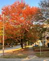 tatumchurch Altpins Profile Picture