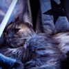 thenerdforge Altpins Profile Picture