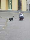 ruth_chavarri Altpins Profile Picture