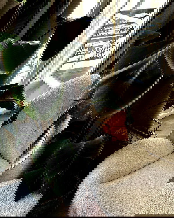 manjolamuriqi manjolamuriqi archive image