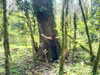 gritsa.k Altpins Profile Picture