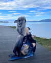 gallery_cosplayer Altpins Profile Picture
