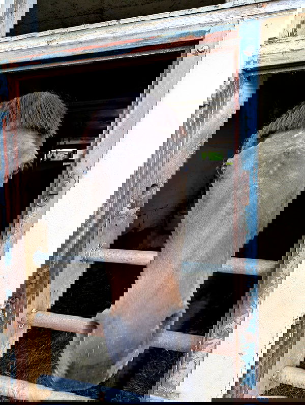 milkgore milkgore archive image