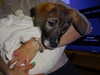 eva.6stuma.com6 Altpins Profile Picture
