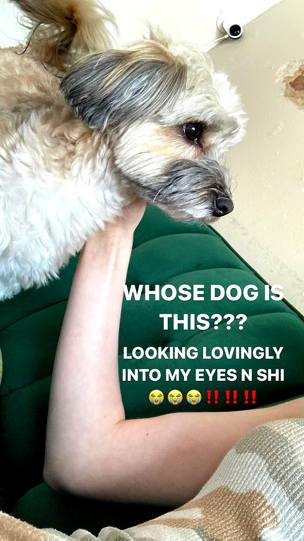 carmaxlla instagram image archive image