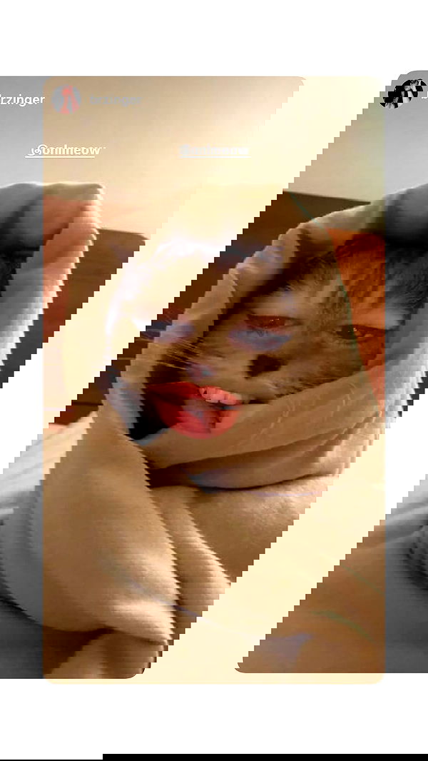 onlmeow onlmeow archive image