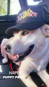 xtina Altpins Profile Picture