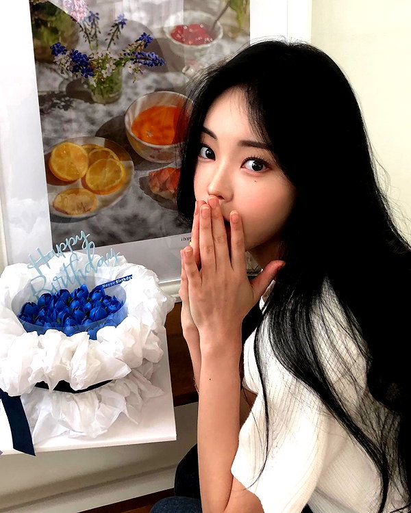 daxbin instagram image archive image