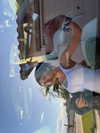 ainaratorneg Altpins Profile Picture