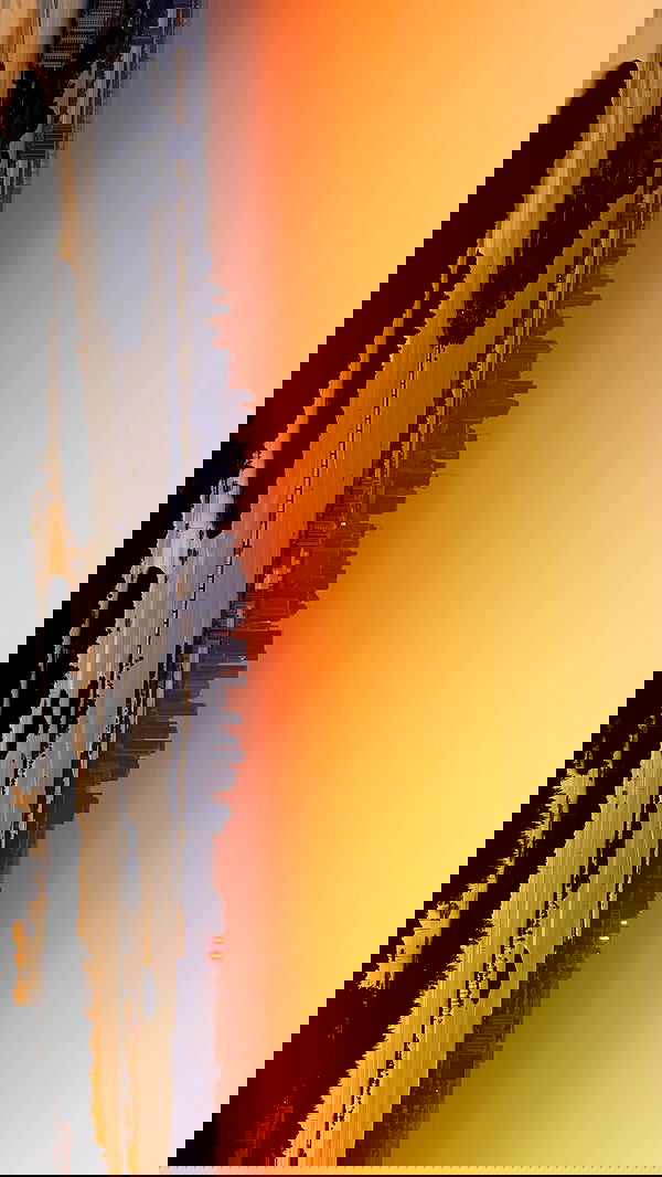 alice.skym alice.skym archive image