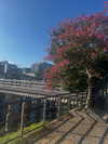 liya.barsky Altpins Profile Picture