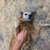 lucyhale Altpins Profile Picture