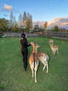3xiiicom Altpins Profile Picture