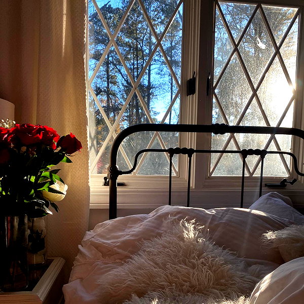 elizabethcampbelljones instagram image archive image