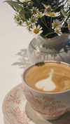 ann.shellll Altpins Profile Picture