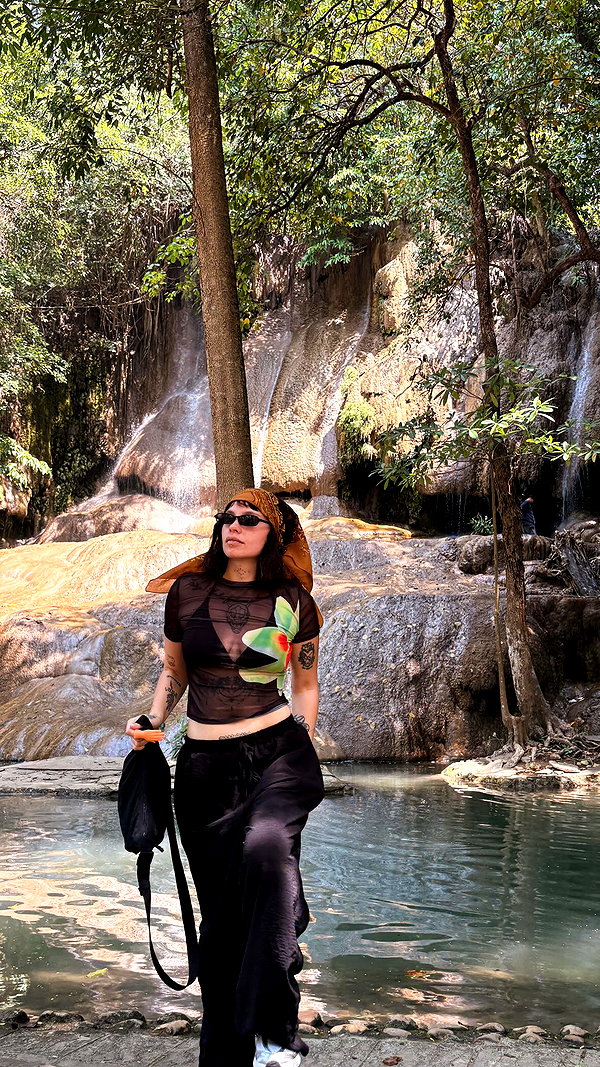 dina_shrago dina_shrago archive image