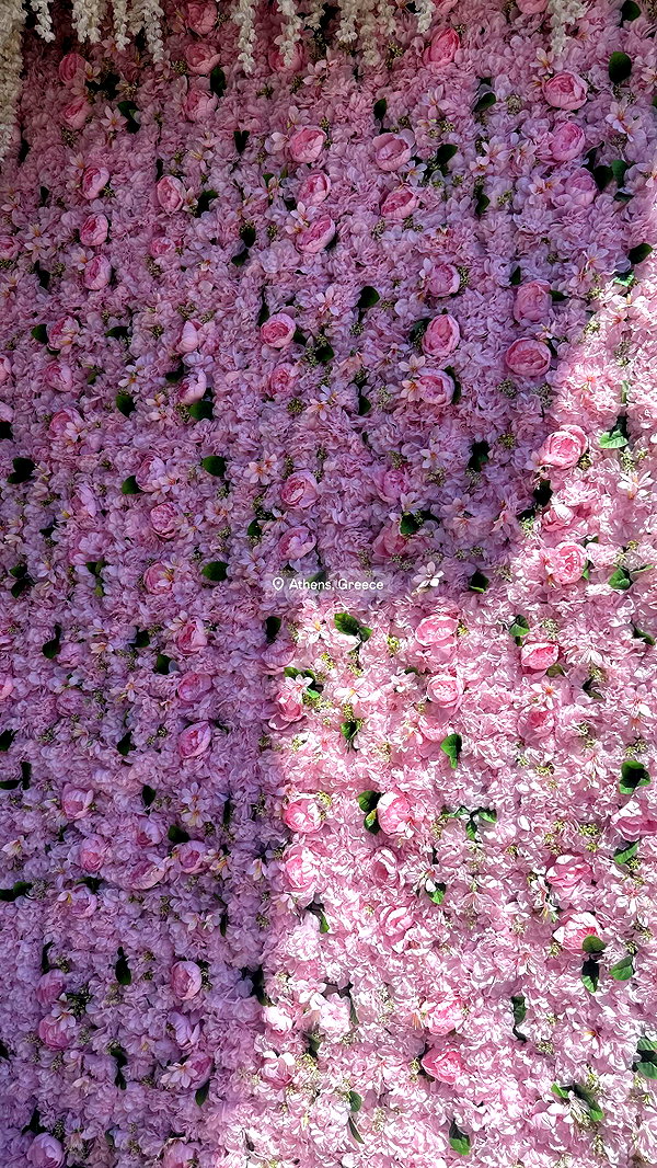 tehilahatuma archive image