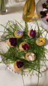 sonia_litvanchuk Altpins Profile Picture