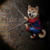 from__yj__ Altpins Profile Picture