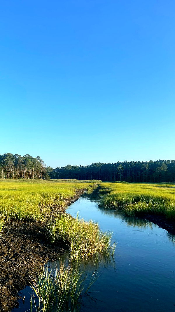 olivia.bolgerr instagram image archive image