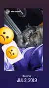 mirekyarahire Altpins Profile Picture