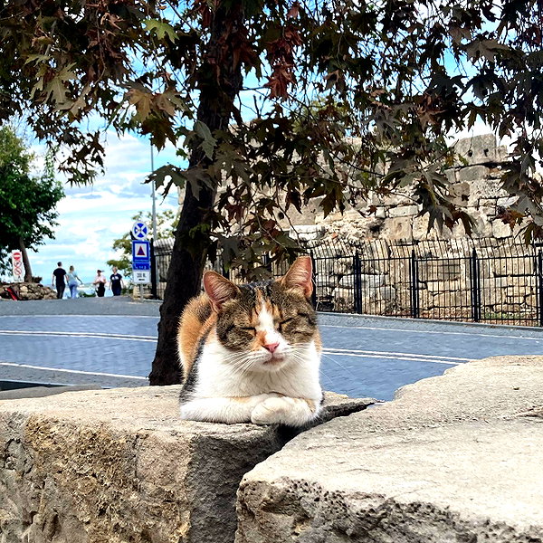 leni.bahr instagram image archive image
