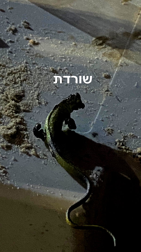 eva.6stuma.com6 instagram image archive image