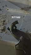 eva.6stuma.com6 Altpins Profile Picture