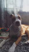 _mashachka_ Altpins Profile Picture