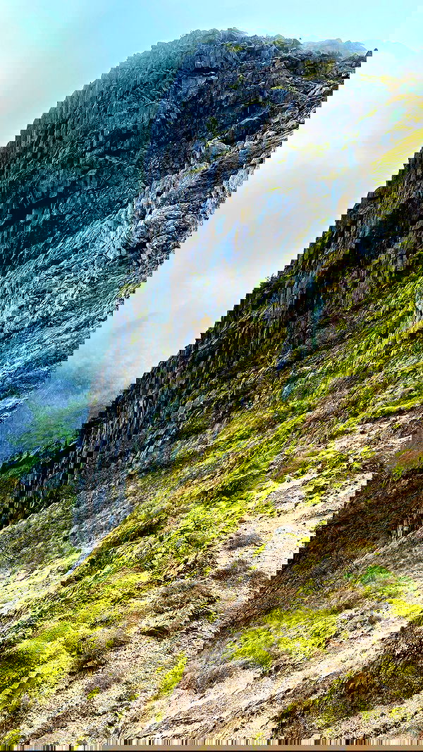 taylor.creeden taylor.creeden archive image