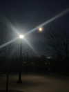 astarwbry_ Altpins Profile Picture