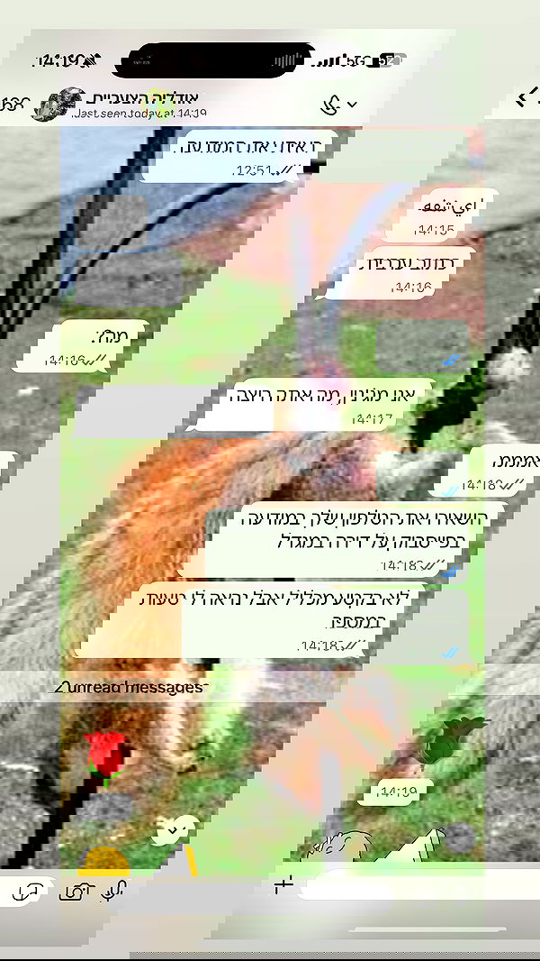 yannaidebeer yannaidebeer archive image