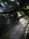 gritsa.k Altpins Profile Picture