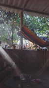 evasela__ Altpins Profile Picture