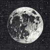 orman.mariee Altpins Profile Picture
